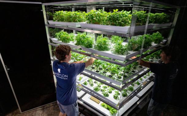 Indoor farming firm Babylon Micro-Farms secures $3m in funding