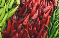 Sensient Natural Ingredients buys chilli pepper plant in New Mexico