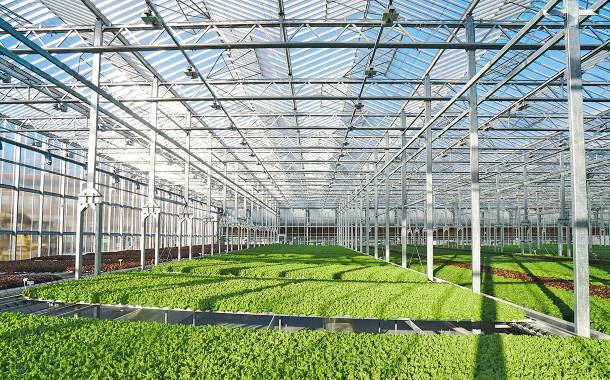 Gotham Greens inaugurates new urban greenhouse in California