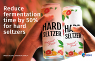 DSM: Profit more from your hard seltzer production