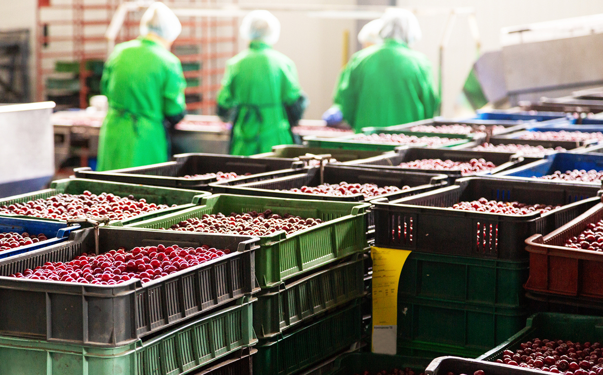 Food supply chain platform iFoodDS raises $15m in Series A funding