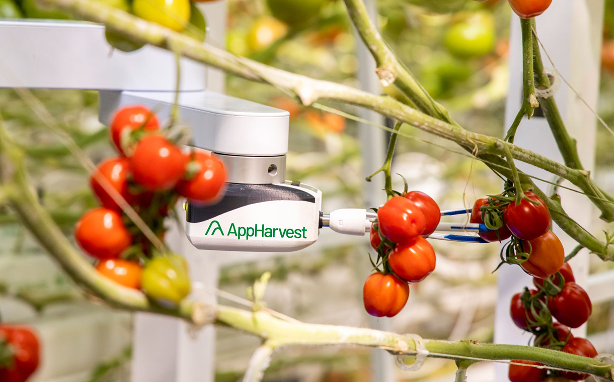 AppHarvest acquires artificial intelligence farming start-up Root AI