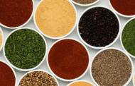Olam Food Ingredients buys US spice producer Olde Thompson