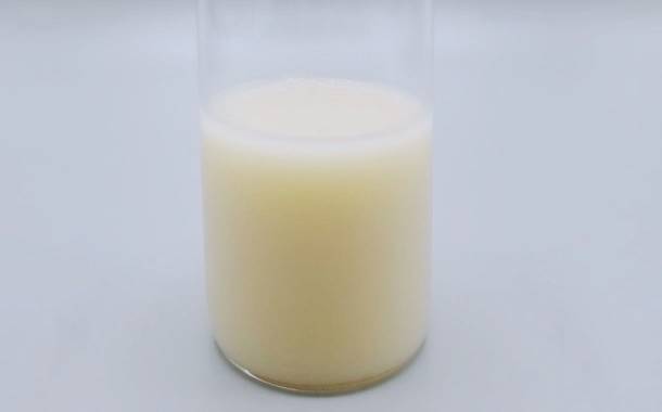 Sophie's Bionutrients develops microalgae-based milk alternative