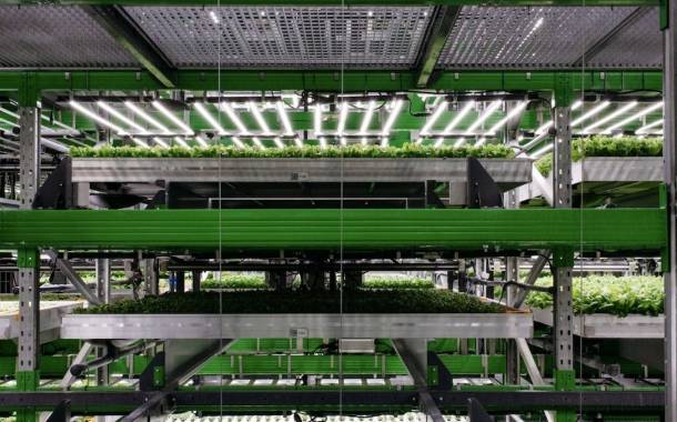 Vertical farming company Bowery Farming secures $300m in funding