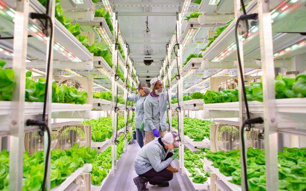 Vertical Roots announces opening of new indoor farm in Atlanta