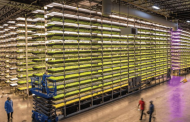 AeroFarms files for Chapter 11 bankruptcy, looks to restructure finances and operations