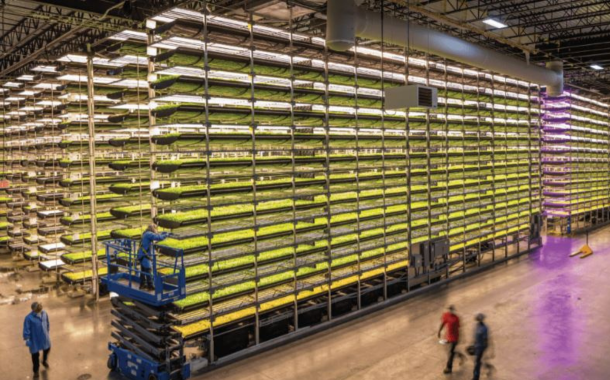AeroFarms files for Chapter 11 bankruptcy, looks to restructure finances and operations