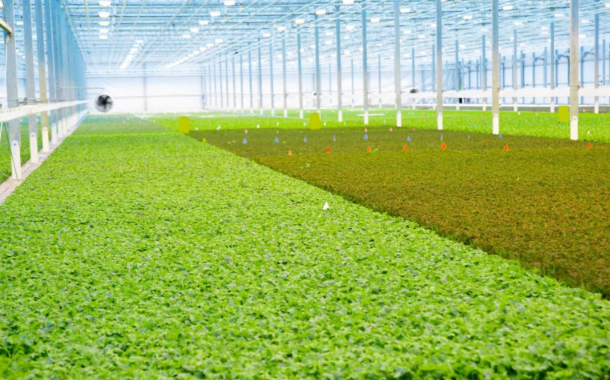 Cox Enterprises acquires US indoor farming company BrightFarms