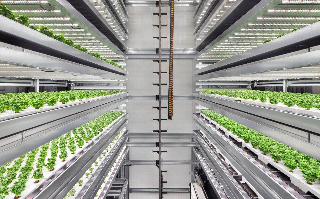 Infarm to establish 9,760-square-metre vertical farming facility in UK