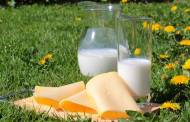 Philippines and Qatari dairy firm Baladna to partner on $500m integrated dairy facility
