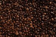 The Green Coffee Company raises $9.6m in Series B funding
