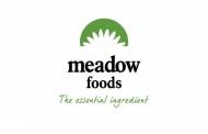 Meadow Foods appoints Raj Tugnait as CEO