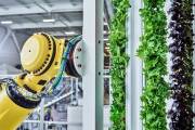 Vertical farming company Plenty secures $400m in funding