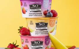 So Delicious Dairy Free launches yogurt with botanical extracts
