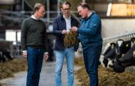 FrieslandCampina and DSM pilot feed additive project