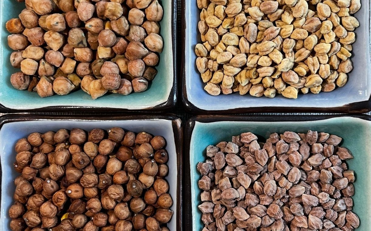 Plant genetics company NuCicer closes $4.5m seed round
