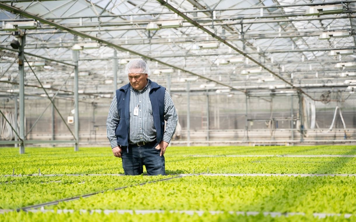 Local Bounti acquires indoor farming company Pete's for $122m