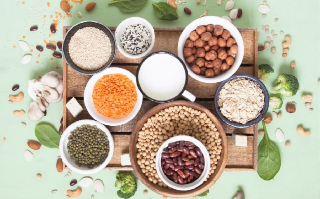 Louis Dreyfus enters plant protein market with new R&D facility