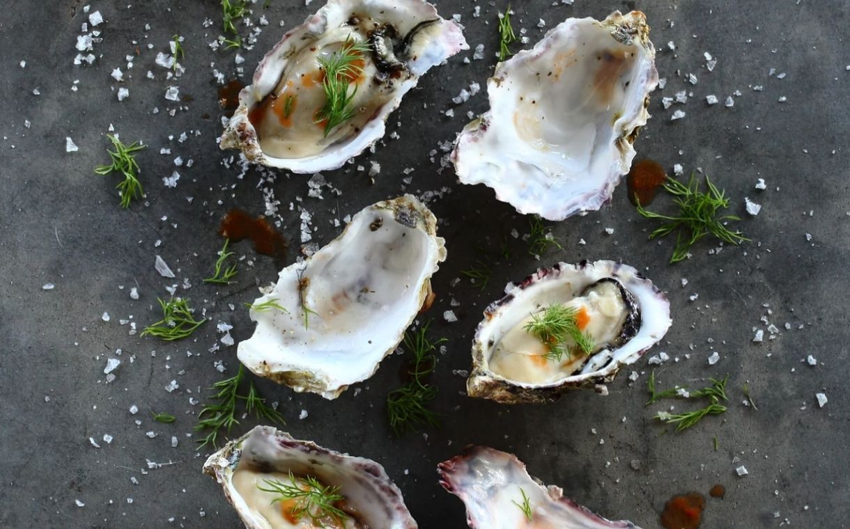 Cult Food Science invests in cultivated oyster producer Pearlita