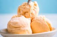 Agropur invests CAD 34m in ice cream plant in Nova Scotia