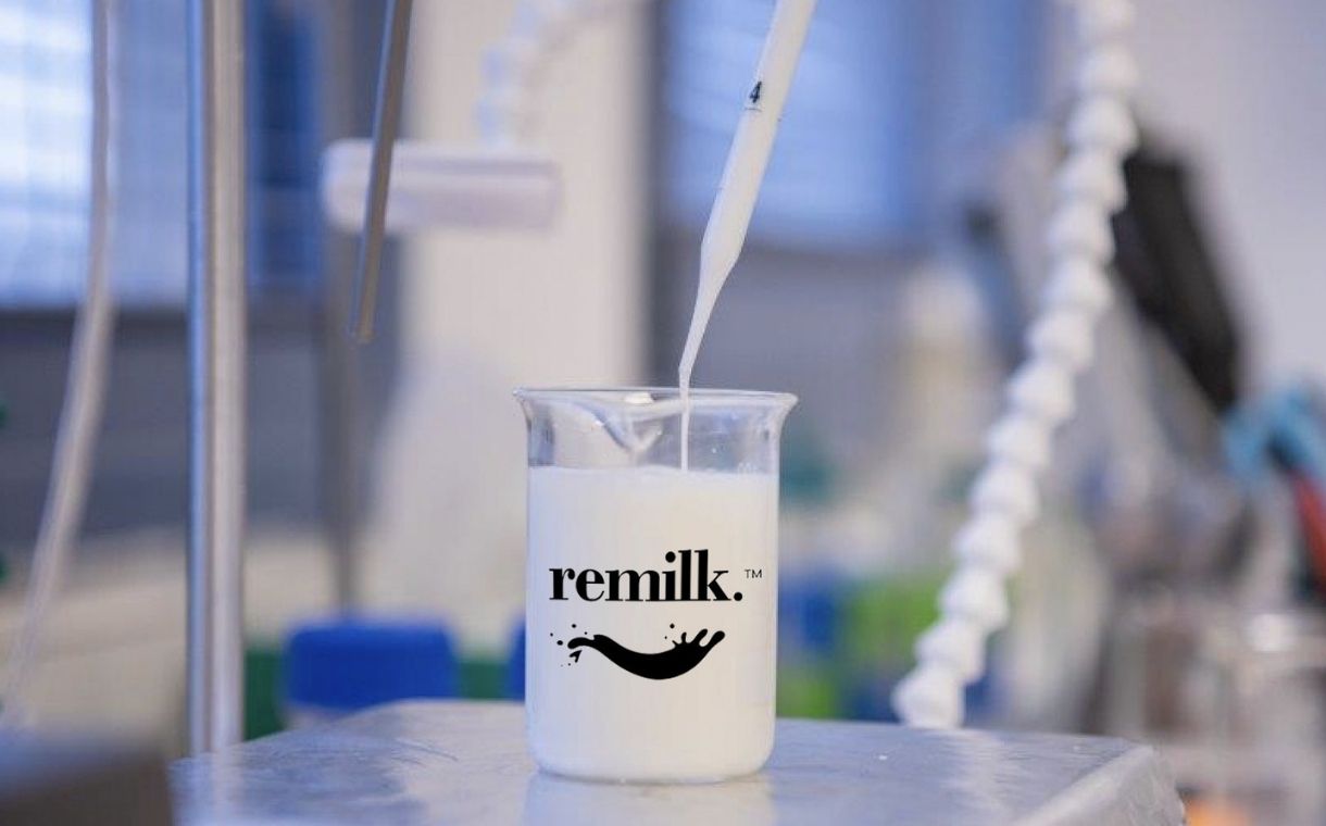 Remilk to build "world's largest" precision fermentation facility