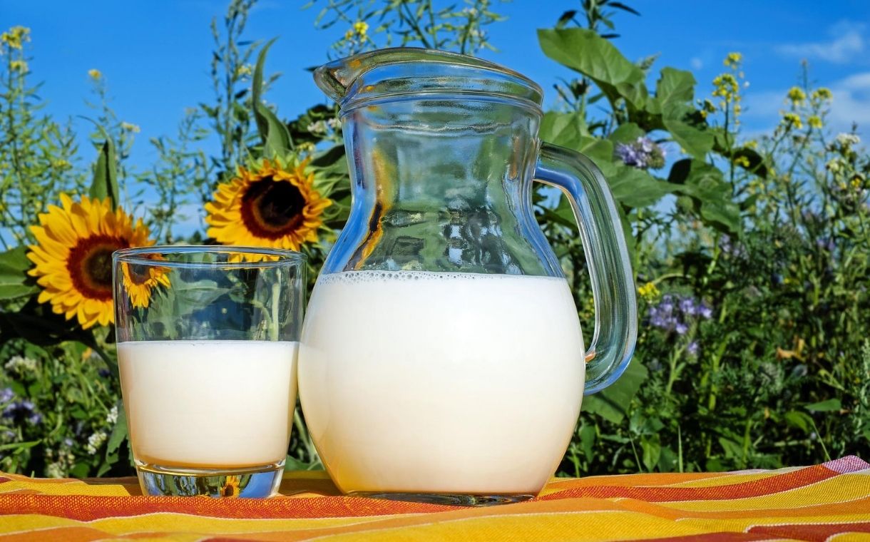 Fonterra to close Brightwater milk powder plant