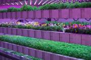 OneFarm set to launch “UK’s largest” vertical farm in Suffolk