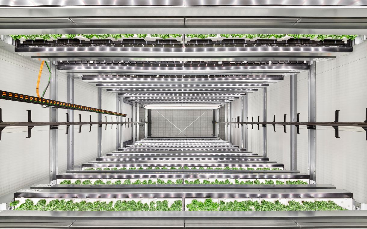 Infarm to establish largest growing centre in Maryland
