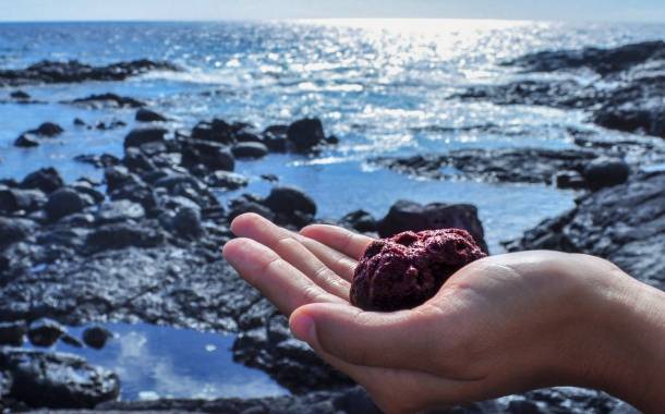 Seaweed start-up Symbrosia raises $7m in funding round led by Danone
