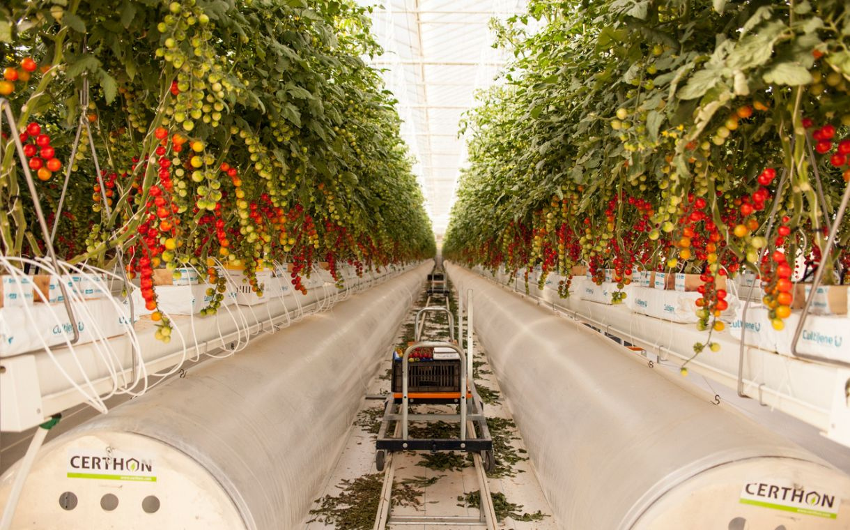 Pure Harvest Smart Farms secures $180.5m in funding round