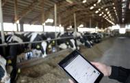 Milk Moovement secures $20m in Series A funding
