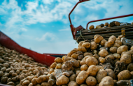 McDonald's Canada and McCain Foods launch $1m potato farming fund