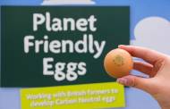 Morrisons launches carbon neutral eggs