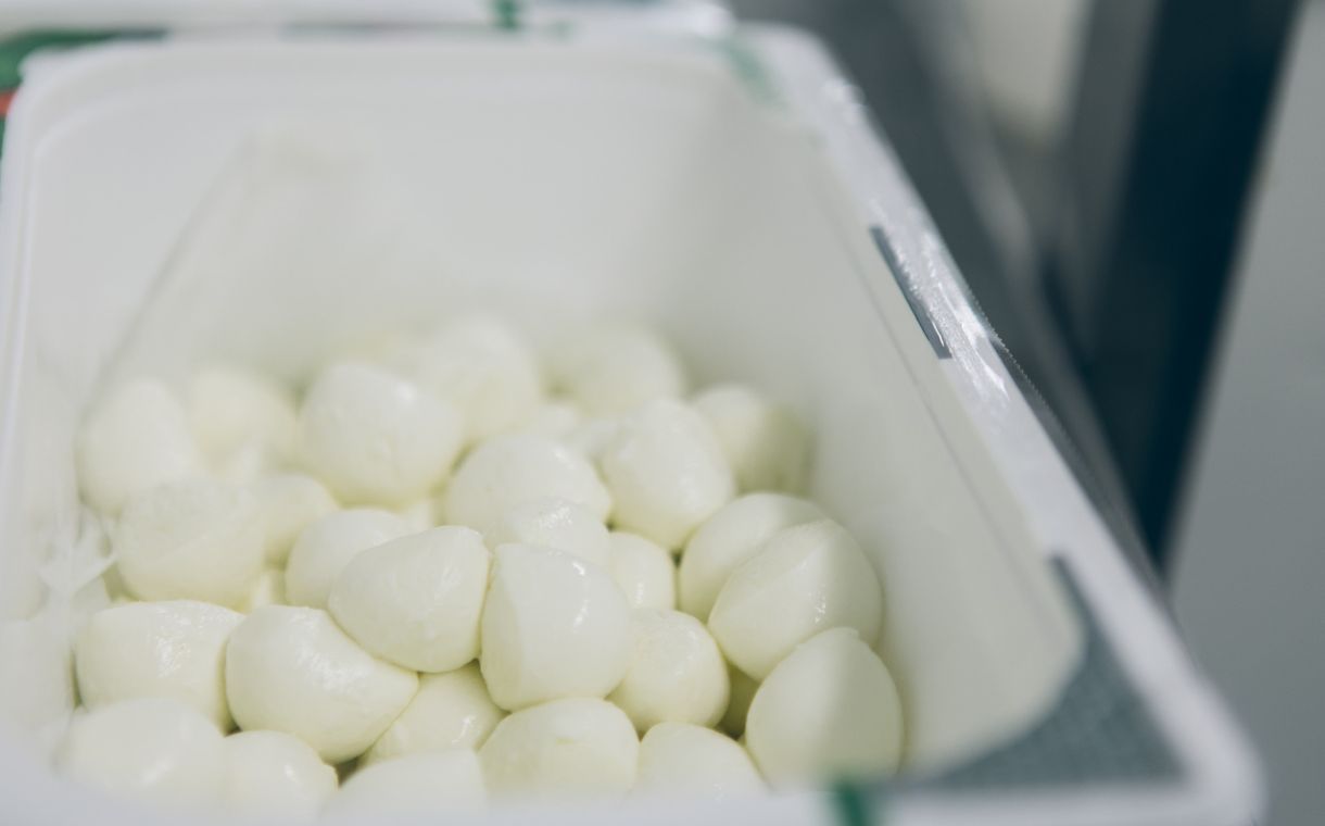 Saputo to invest CAD 45m to convert Wisconsin cheese facility