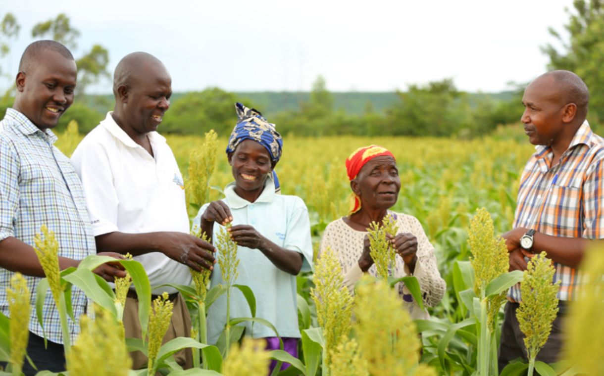 Diageo to help mitigate climate change in smallholder farms in Africa