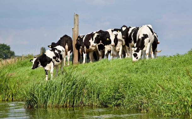 Veolia extends water reuse process for Qatari dairy producer Baladna