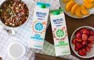 Vitasoy releases new plant milk range
