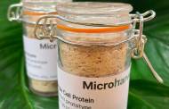 Biotech start-up MicroHarvest raises €8.5m in funding round