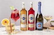 Martini debuts its first range of non-alcoholic products