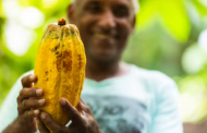 Mondelēz invests additional $600m in Cocoa Life programme