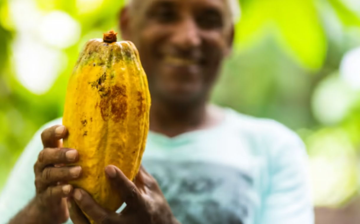 Mondelēz invests additional $600m in Cocoa Life programme
