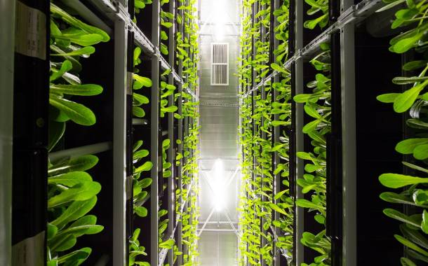 GoodLeaf Farms to open climate-controlled indoor farm in Québec