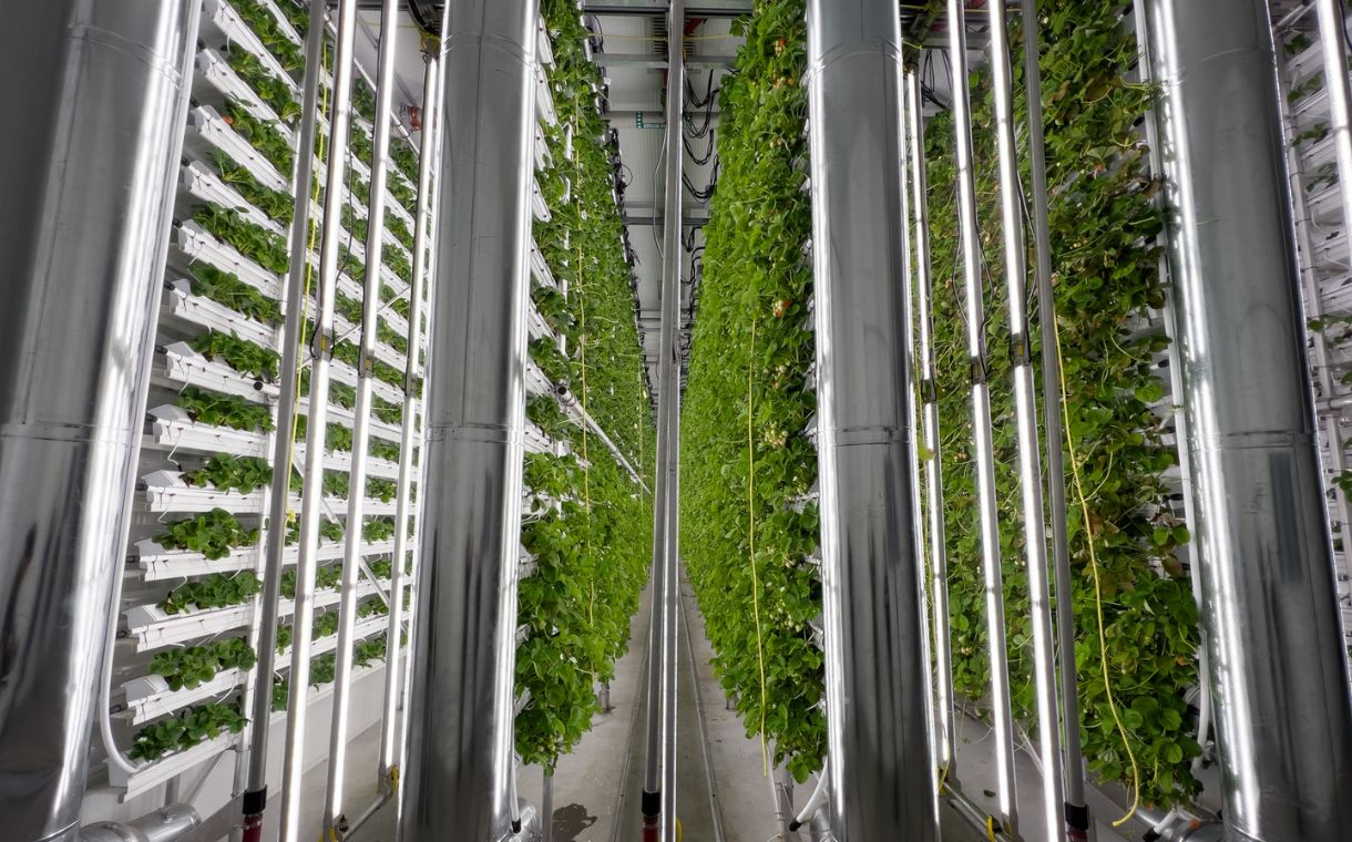 Quebec vertical farming company Winter Farm raises CAD 46m