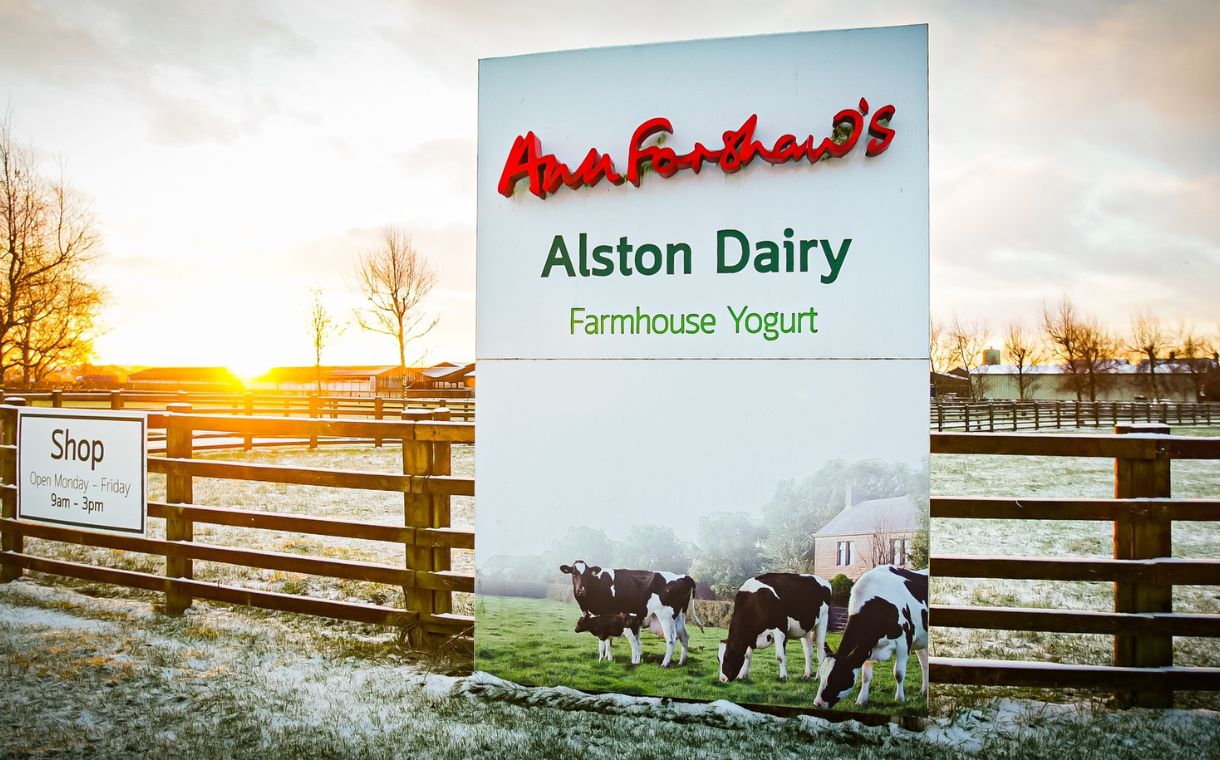 James Hall and Co acquires Ann Forshaw’s Alston Dairy