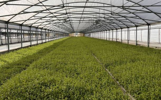 Splenda opens $50m stevia farm in central Florida