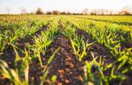 Moroccan university and fertiliser giant commit $200m to fund agritech start-ups