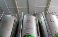 Calidad Pascual acquires minority stake in beer brand Cerveza Mica