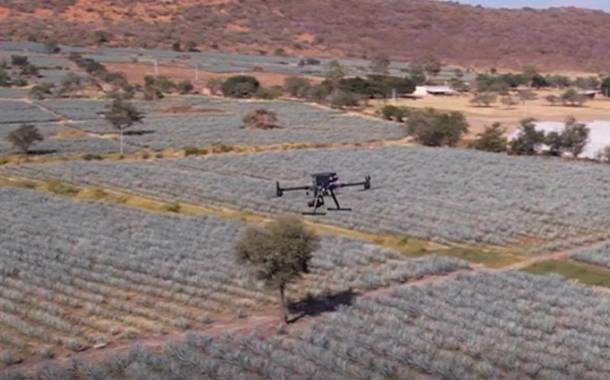 Diageo introduces drones to Mexico agave farming
