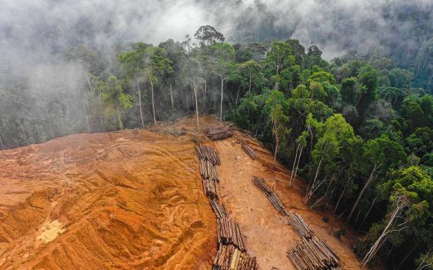 EU backs deforestation-free commodities law